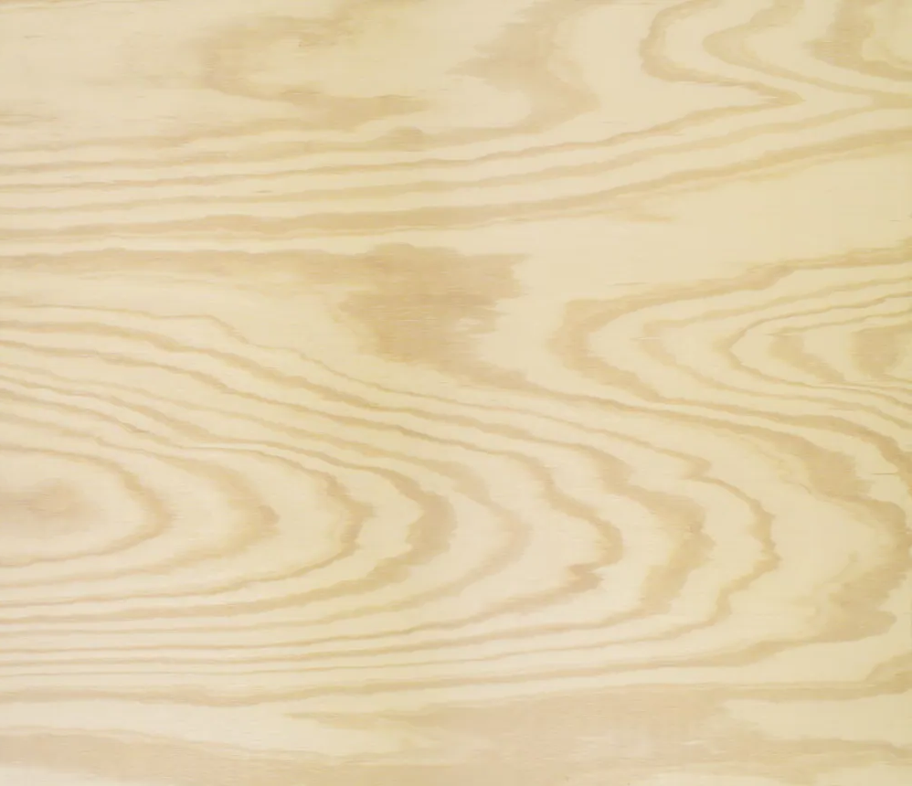 Plywood material sample